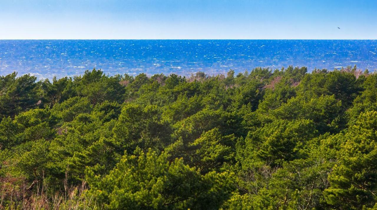 Апартаменти Palanga Sea View Екстер'єр фото